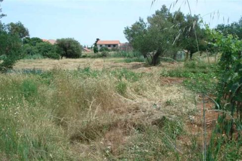 Grundstück Gesamtansicht / Overall view of plot