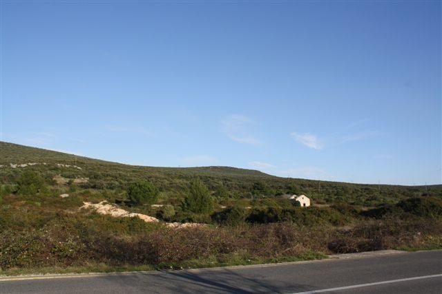 Küstenstraße / Coastal road