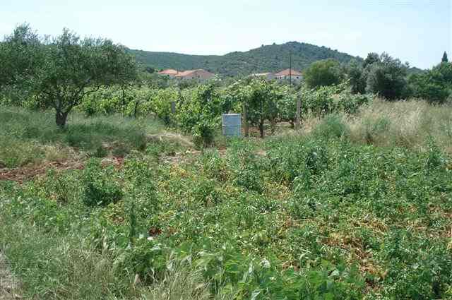 Grundstück mit Nachbarhäusern / Plot with neighbouring houses