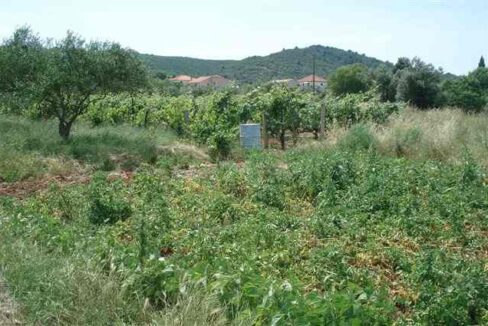 Grundstück mit Nachbarhäusern / Plot with neighbouring houses