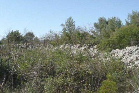 Grundstück mit Grundstücksgrenze / Plot and its border