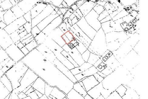 Katasterplan /  Cadastral plan