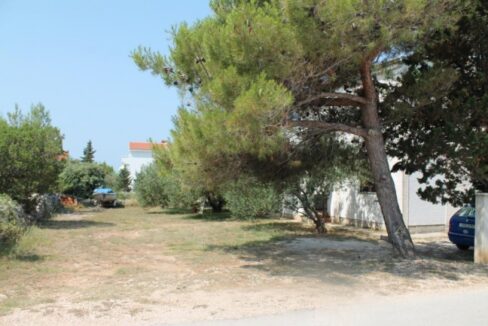 View of the court