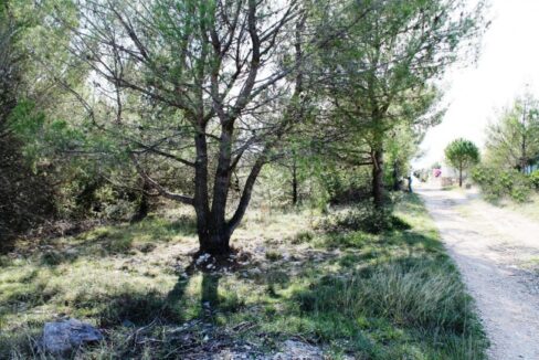 Plot, view towards the sea