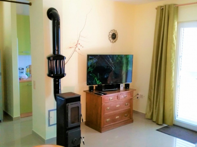 Wood burning stove in living room